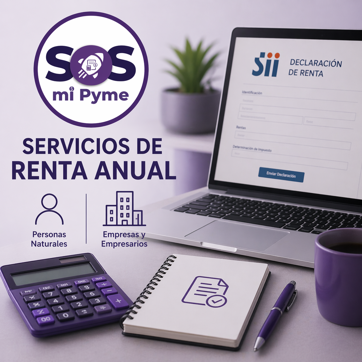Servicios de Renta Anual