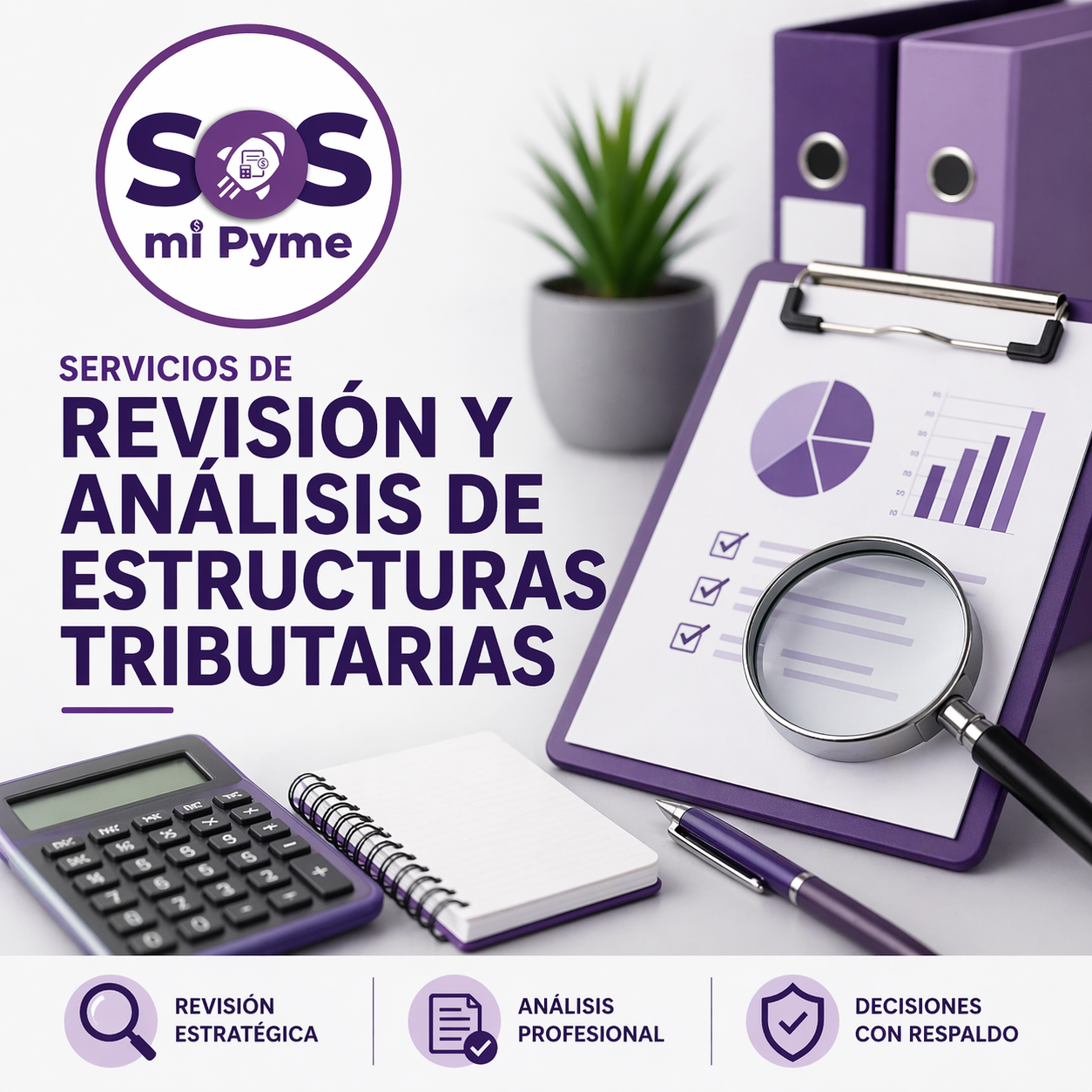 Servicios de Revisión y Análisis de Estructuras Tributarias